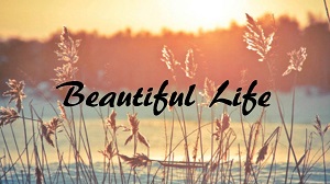 Top 50 Beautiful Quotes On Life 